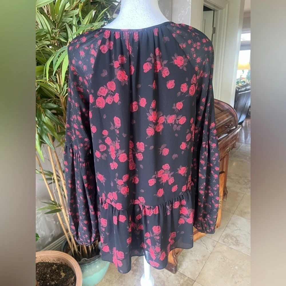 Michael Kors, ladies, long sleeve, sheer blouse, size, small excellent condition